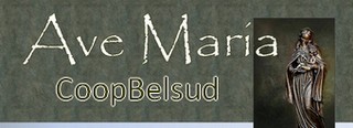 AVE du WEB