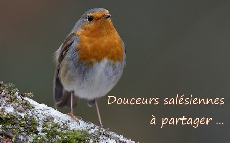 Sans titre 2.jpg
