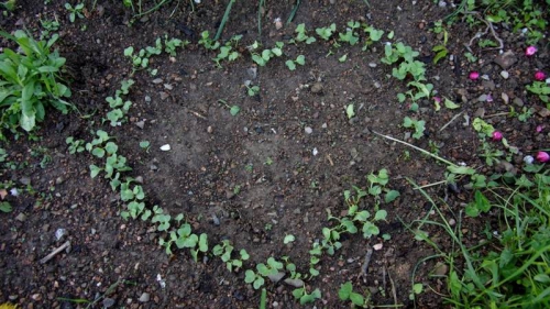 201603224.jpg