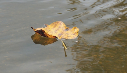 20160918.jpg