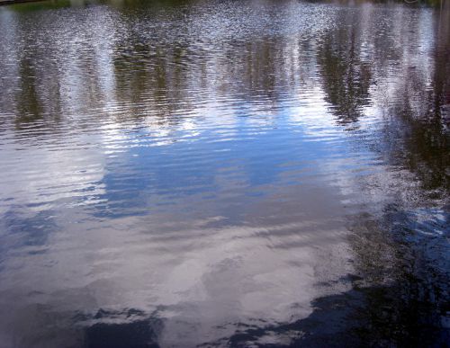 Lac-reflets-bleus-2008.-2-03-2008.98.jpg
