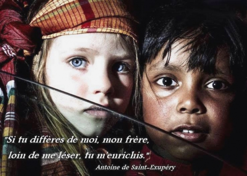 1Sans titre 6.jpg