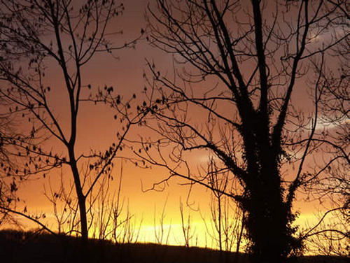 photo-lumiere-soir[1]