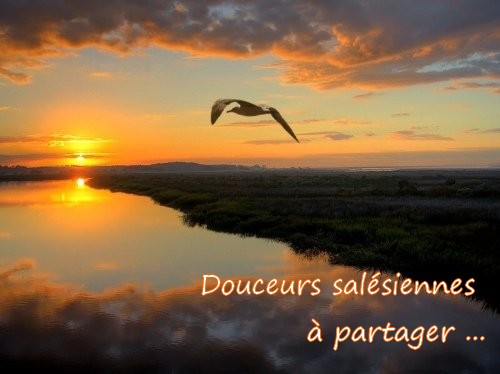 Sans titre 2