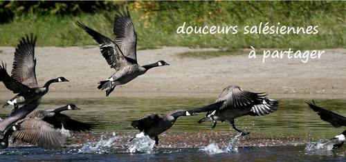 Sans titre 2