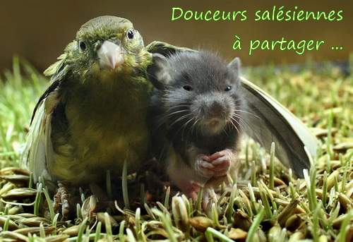 Sans titre 1