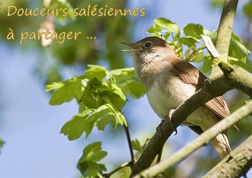 Sans titre 1