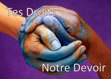 Sans titre 27.jpg