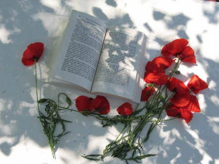 alice-coquelicot2.3[1]