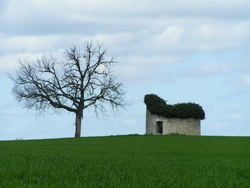 2007-01-25-05-48-05-la-ou-le-bonheur-est-dans-le-pre[1]