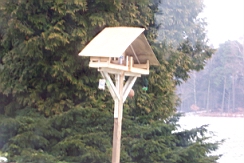 100_0300.JPG