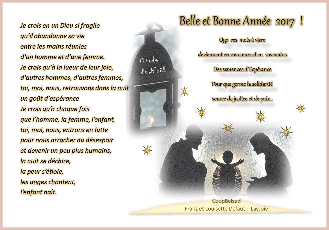 Voeux 2017